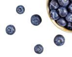 blueberry