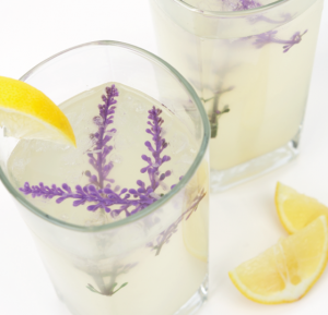 Honey Lavender Lemonade