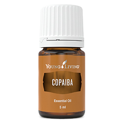 copaiba essential oil 