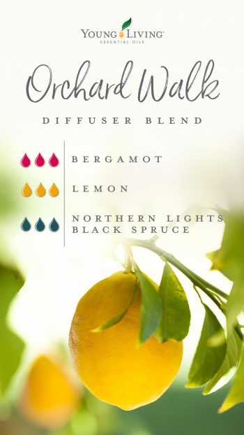 Orchard Walk Diffuser Blend