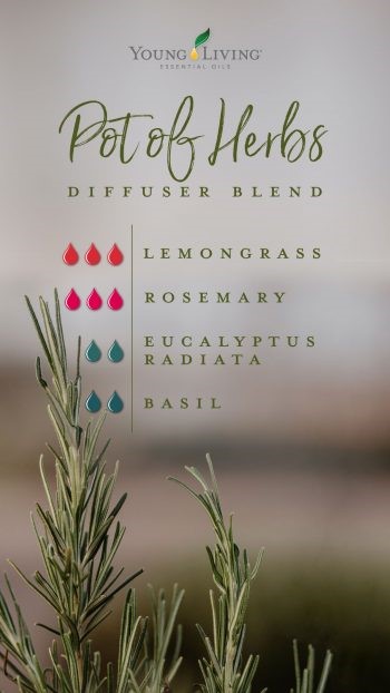 Pot of Herbs Diffuser Blend