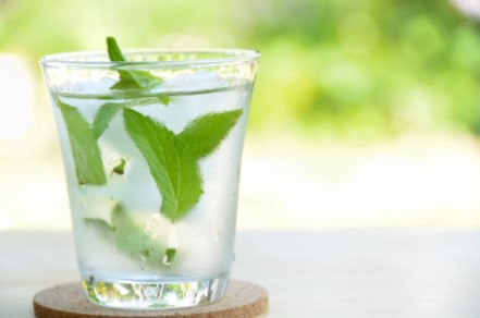 Mint Water - Young Living