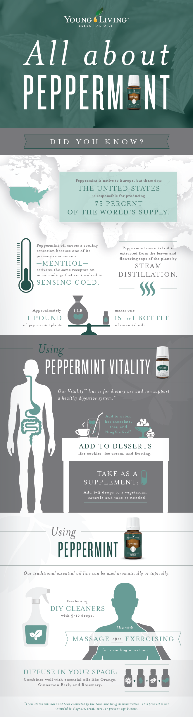 Young Living Peppermint Essential Oil and Peppermint Vitality Essential Oil - peppermint uses, peppermint oil