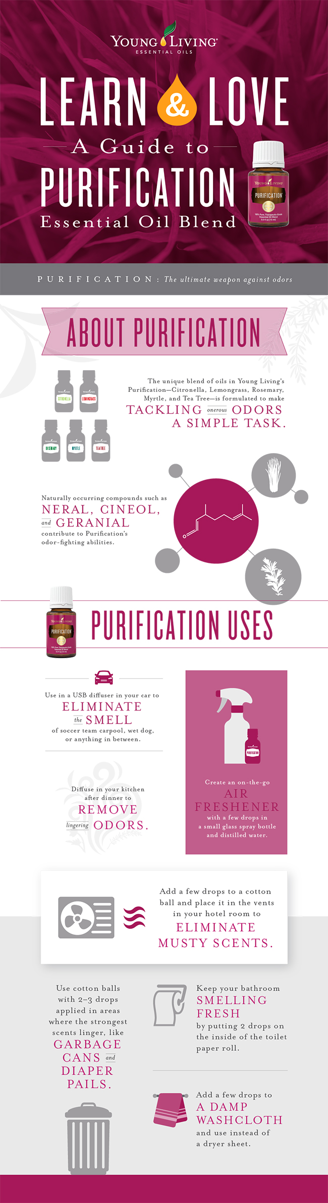 Purification essential oil learn and love