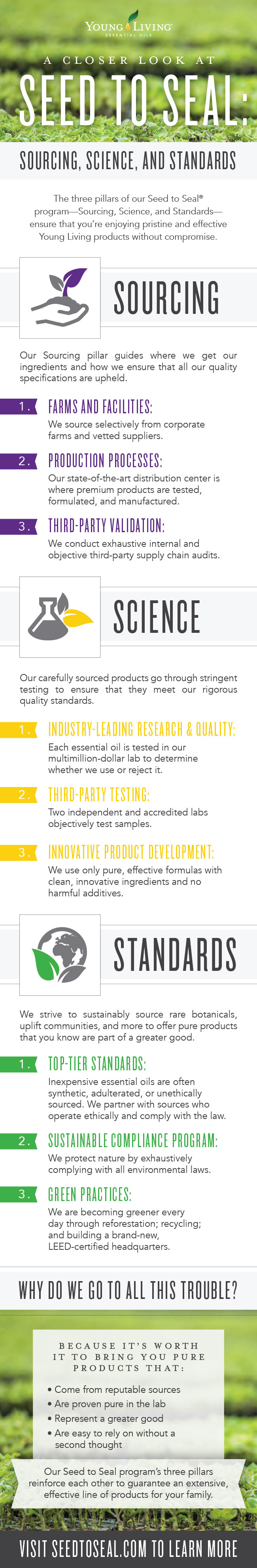 A closer look at Seed to Seal: Sourcing, Science, and Standards Infographic