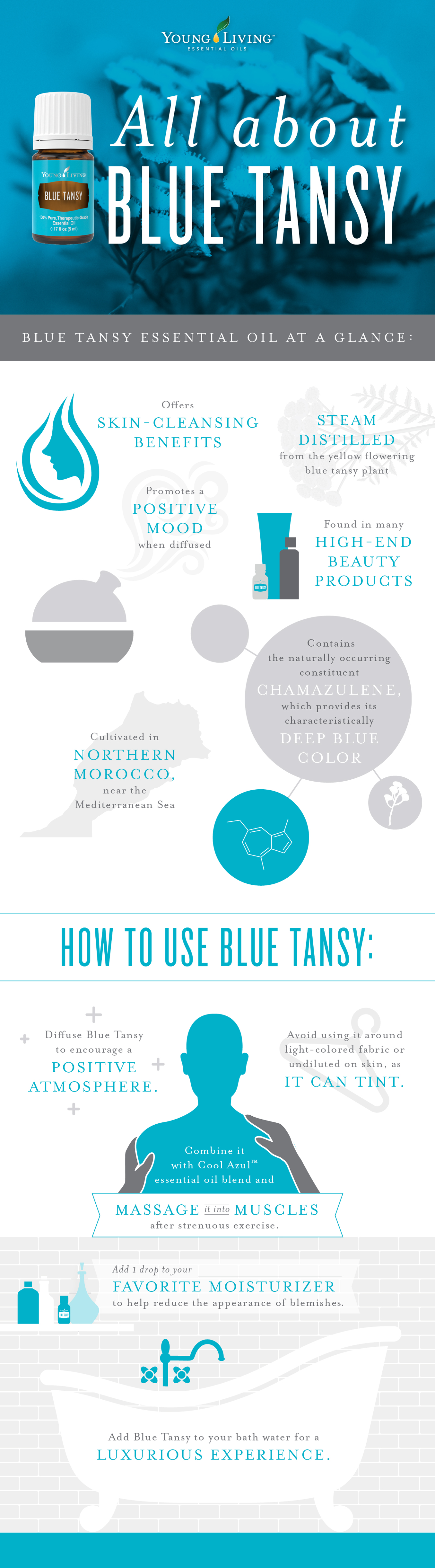 Blue Tansy essential oil benefits and uses