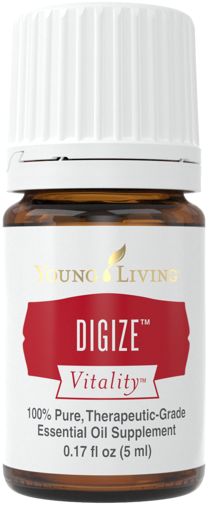 Digize Vitality benefits and uses