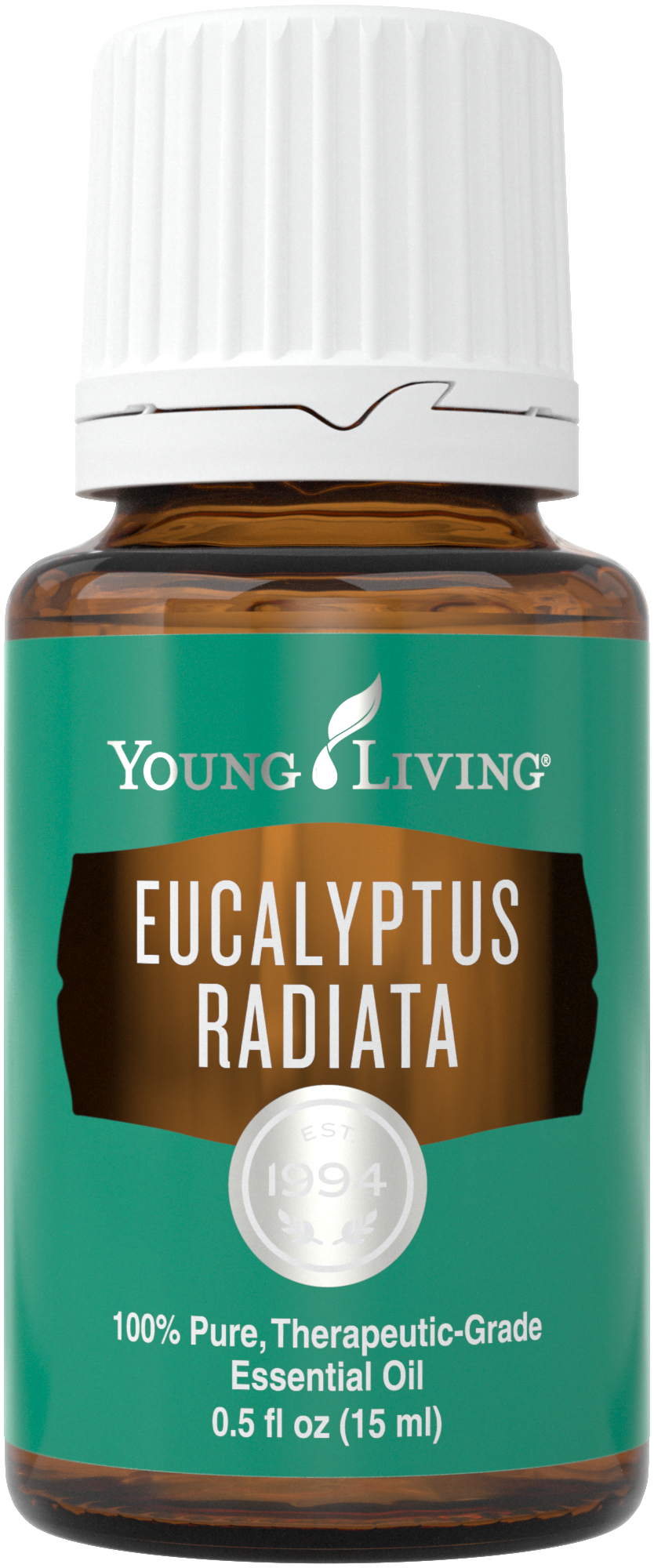 Eucalyptus Radiata essential oil uses | Young Living