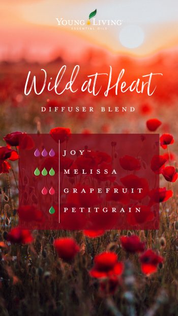 Wild at heart diffuser blend