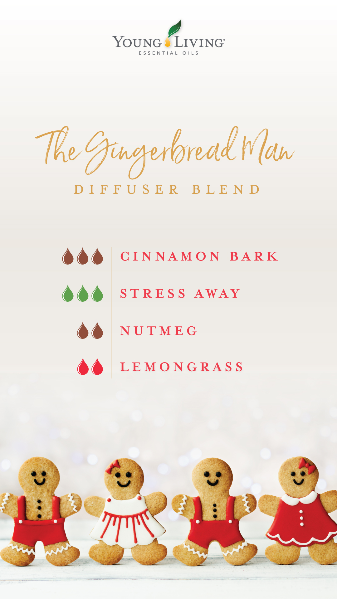 The Gingerbread Man diffuser blend