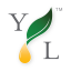 youngliving.com-logo