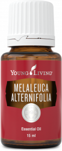 Melaleuca Alternifolia Essential Oil