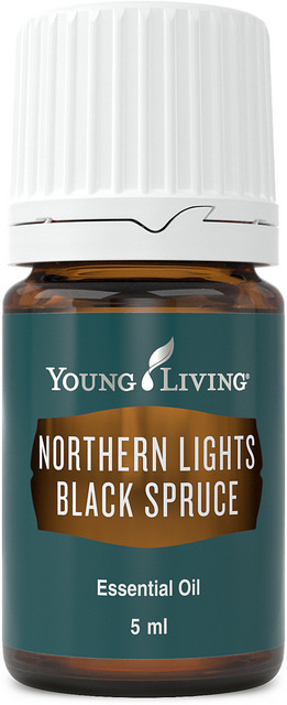 Northern Lights Black Spruce