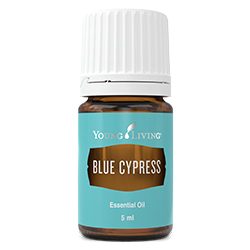 Young Living Blue Cypress Essential Oil Bottle