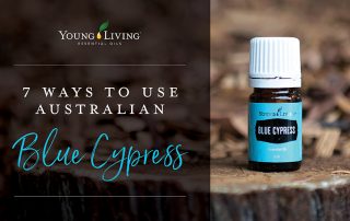 7 Ways to Use Australian Blue Cypress Essential Oil - Young Living Australia