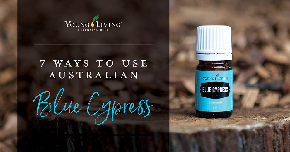 7 Ways to Use Australian Blue Cypress Essential Oil - Young Living Australia