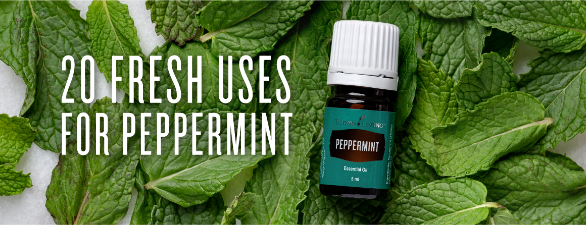 20 fresh uses for peppermint essential oil by Young Living essential oils