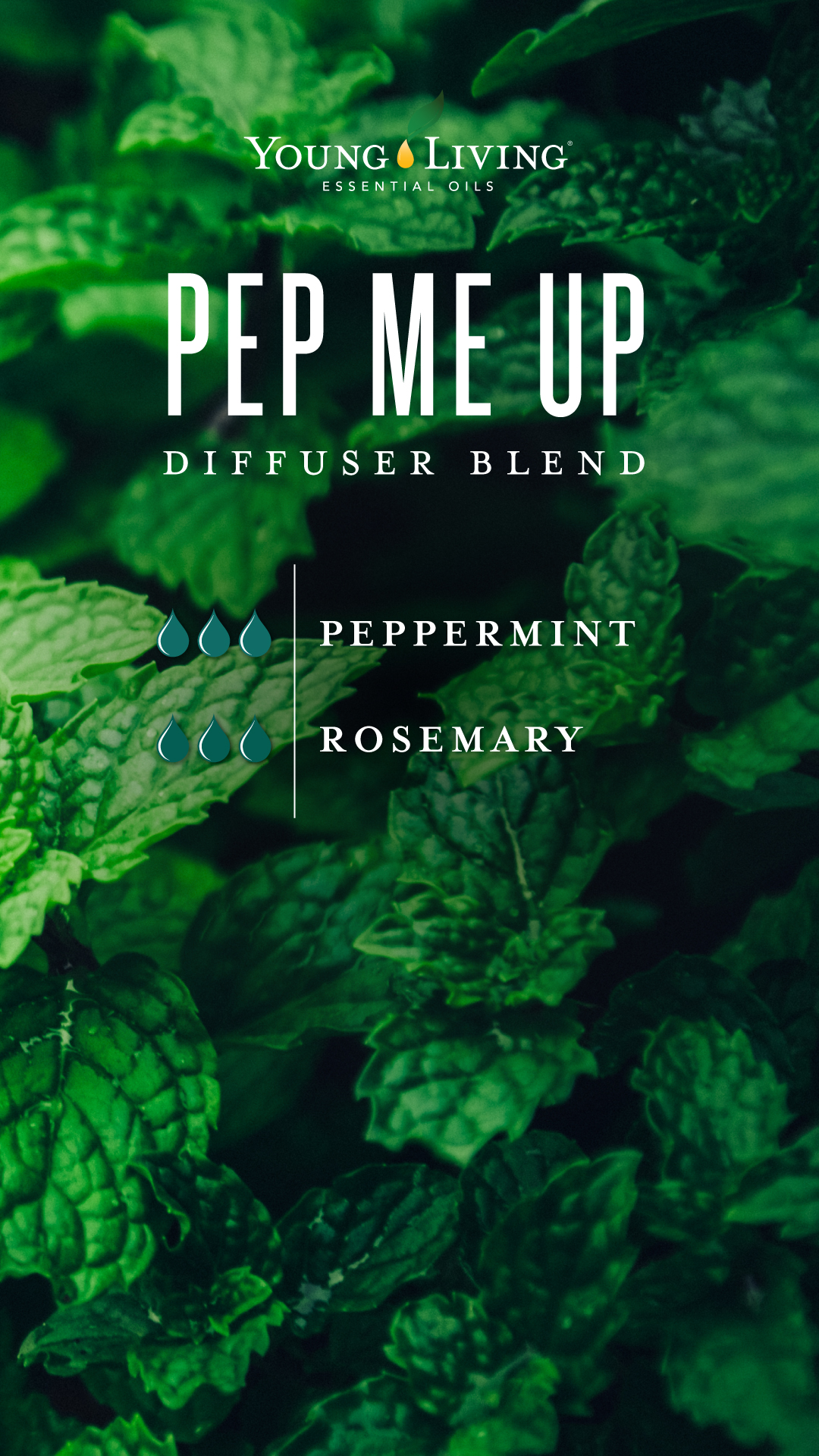 Pep Me Up Diffuser blend recipe by young living essential oils