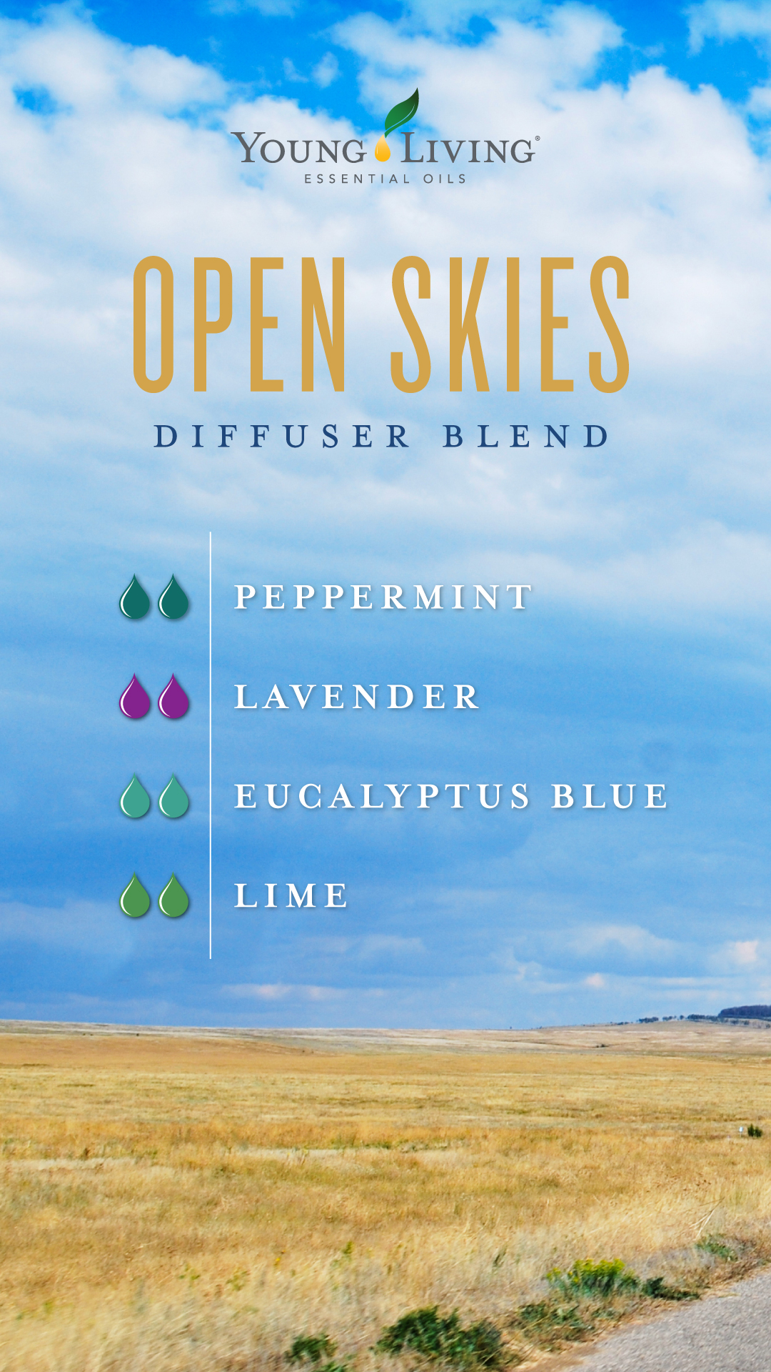Open Skies essential oil diffuser blend by young living essential oils