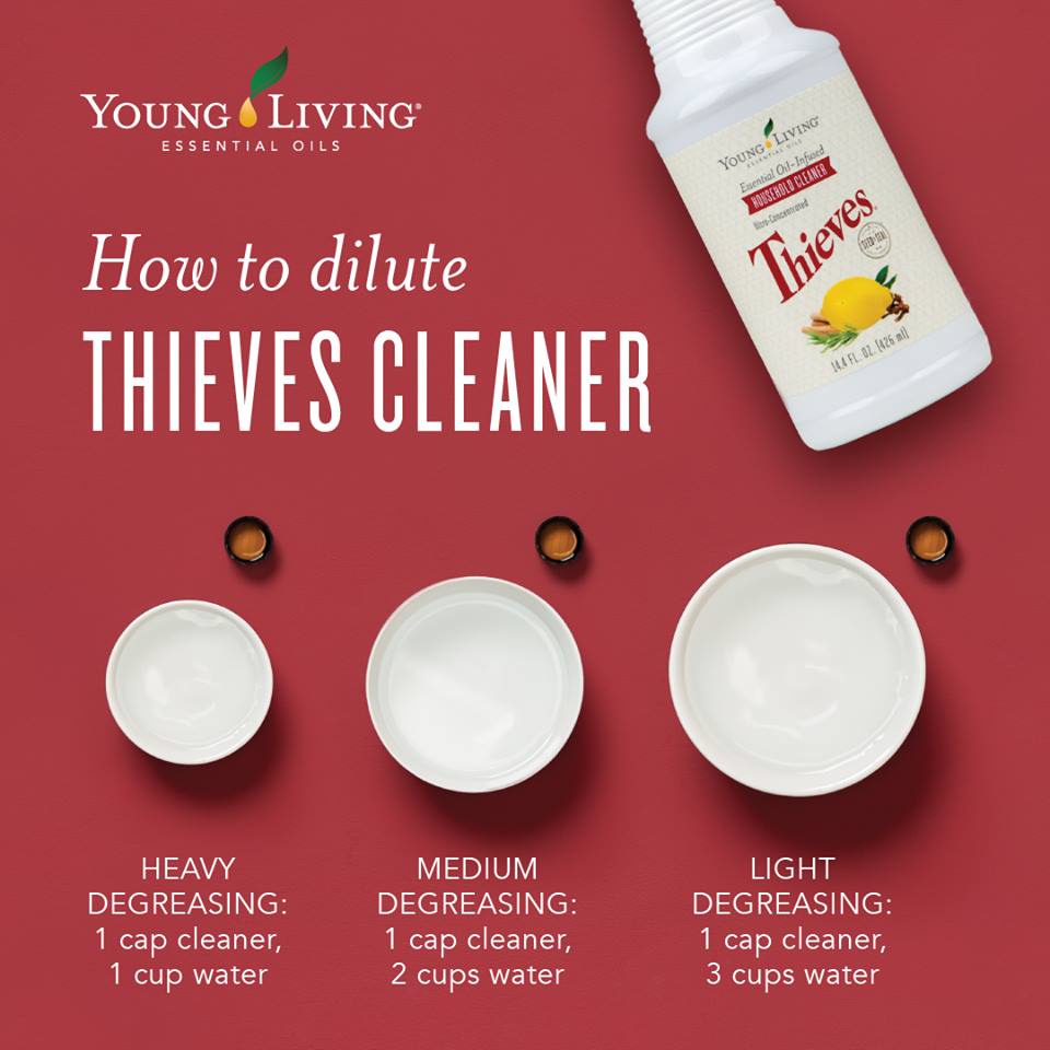 Dilute Thieves Cleaner