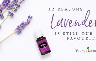 12 reason why we love lavender essential oil