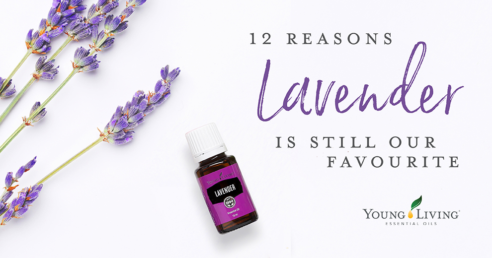 12 reason why we love lavender essential oil