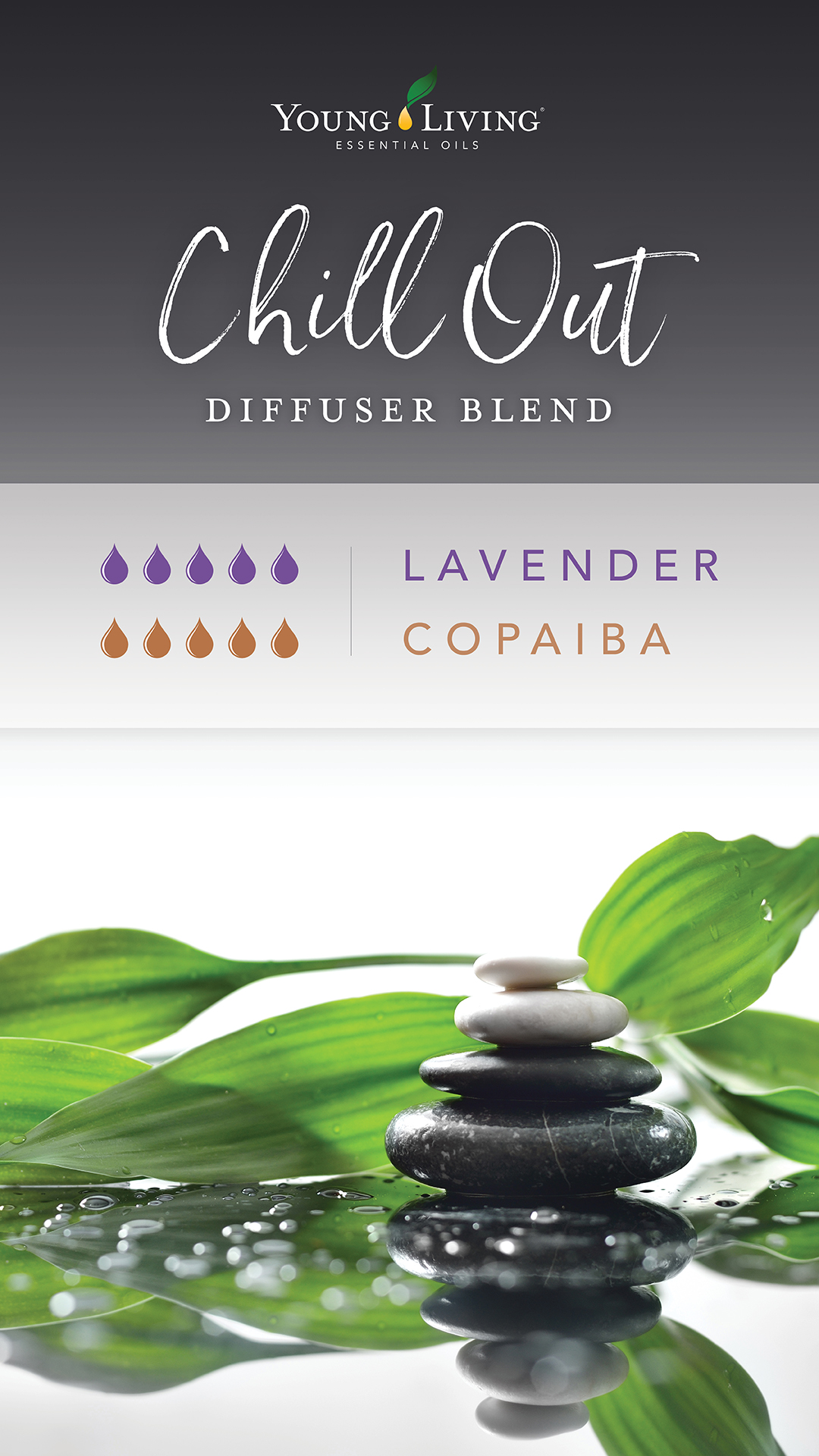 Lavender essential oil diffuser blend lavender and copaiba essential oils