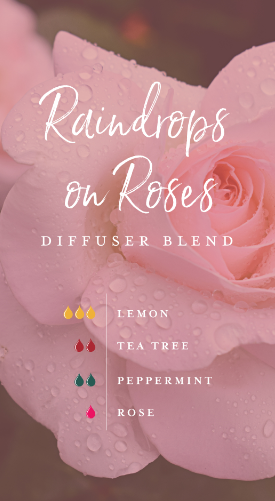 Raindrops on roses diffuser blend
