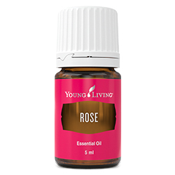 Rose Essential Oil 