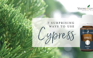 Cypress Essential Oil