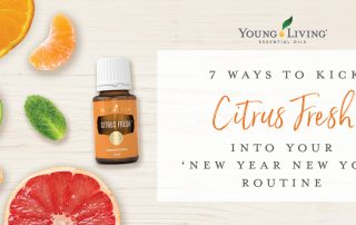 Citrus Fresh Blog