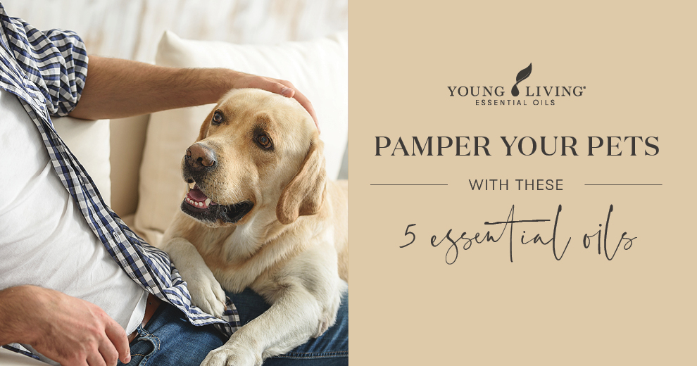 doterra balance for dogs