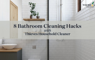 Blog_Thieves Household Cleaner_header