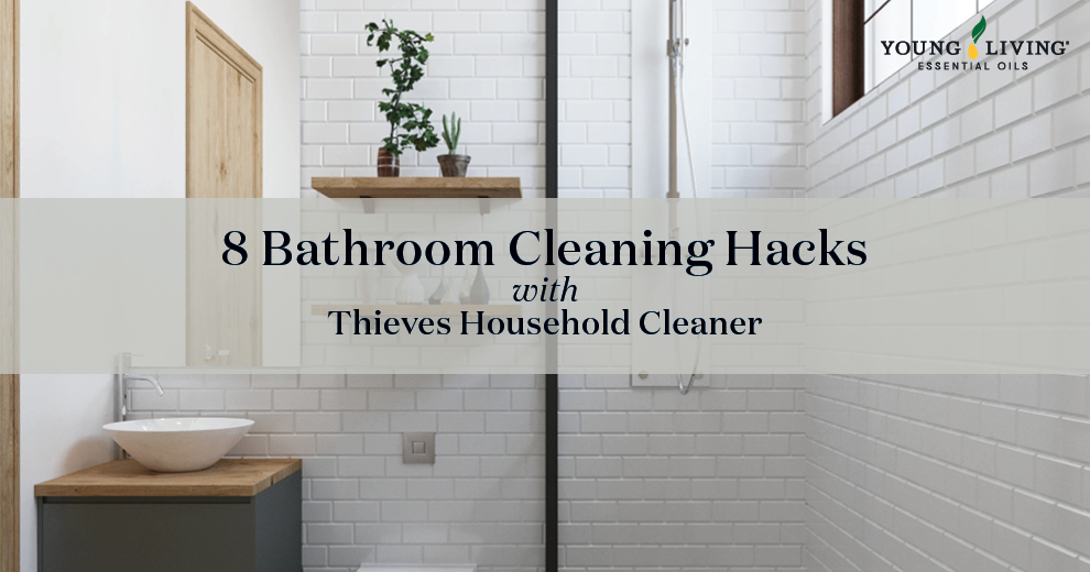Blog_Thieves Household Cleaner_header