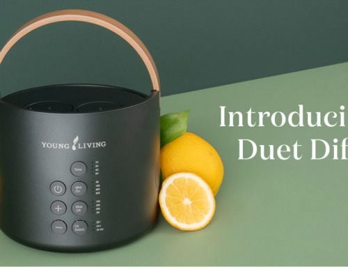 Introducing the Duet Diffuser – A Diffuser Like No Other!