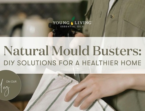 Natural Mould Busters