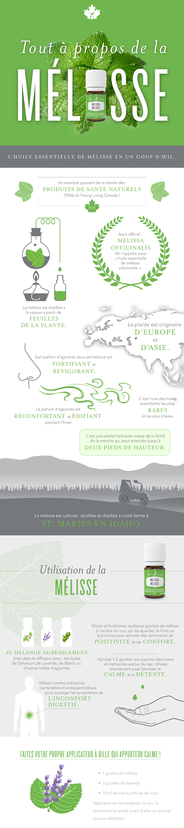 melissaenrollment_infographic_fr_ca_0317_bh_r2