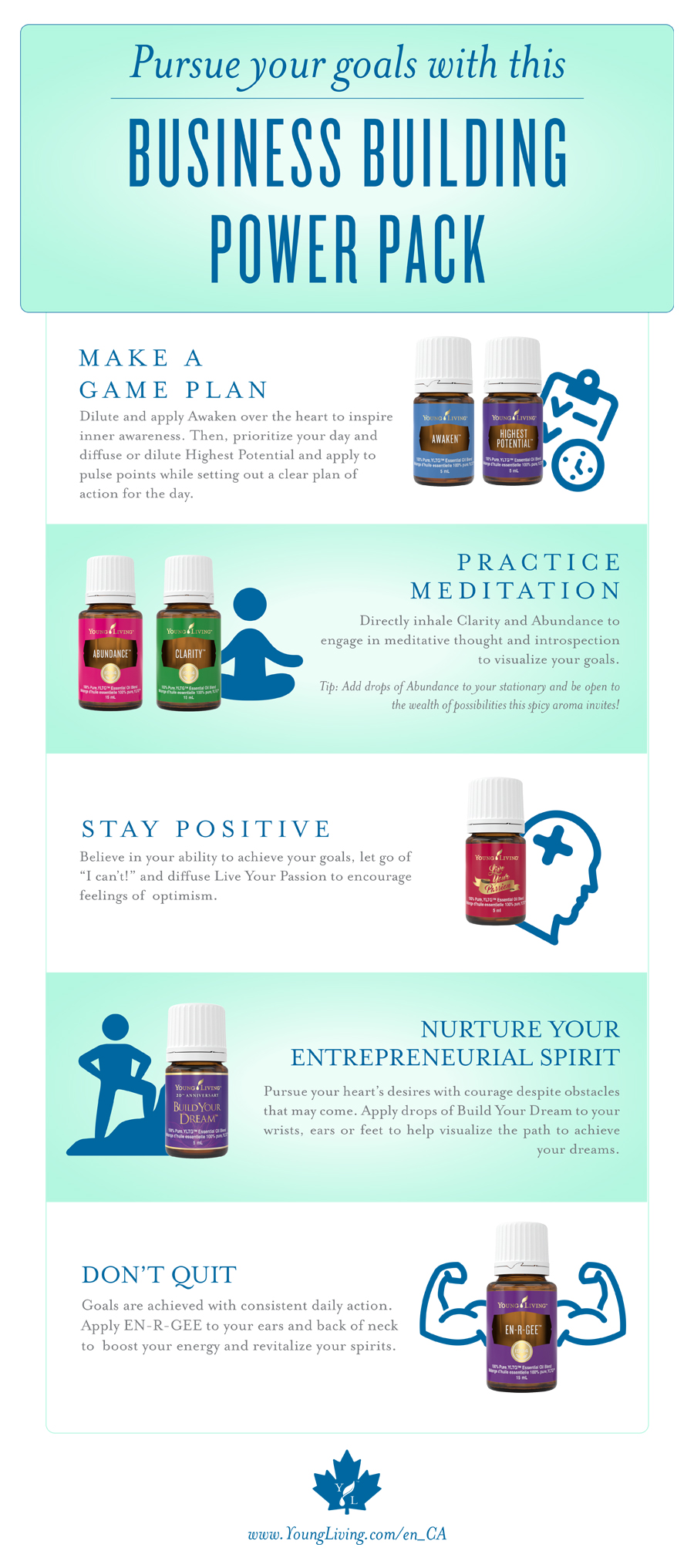 young living business building infographic