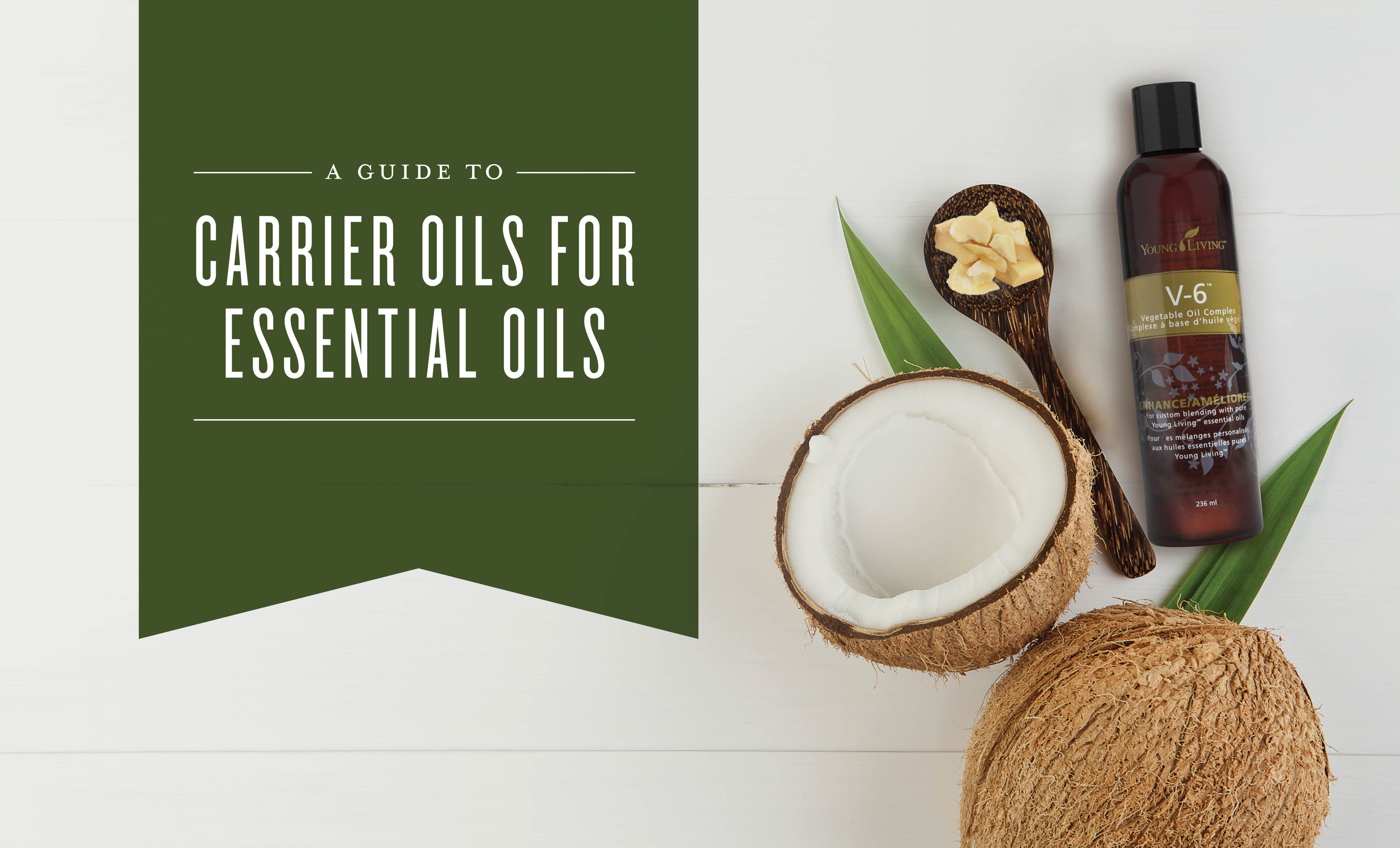 Essential Oil Basics: A Guide To Carrier Oils – Chagrin Valley