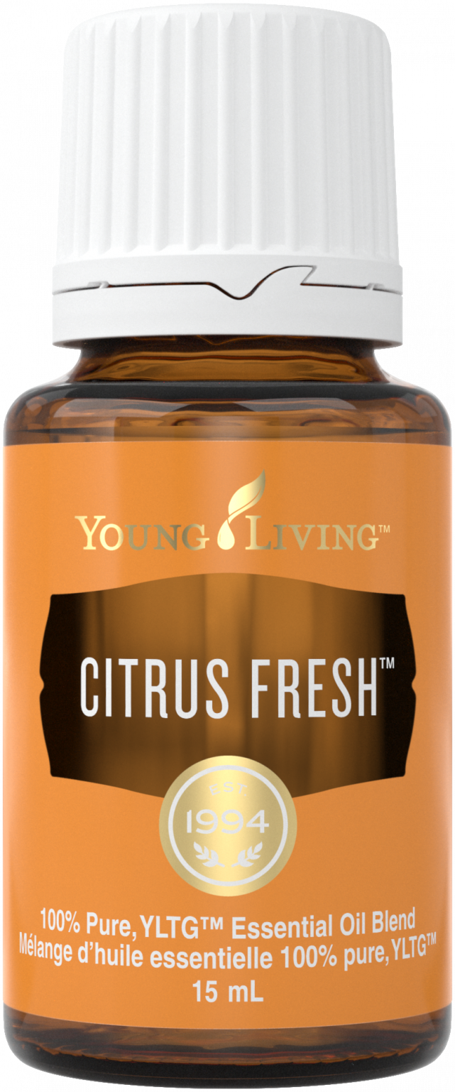 How to Make 25 DIY Cleaners with One Bottle of Thieves Household