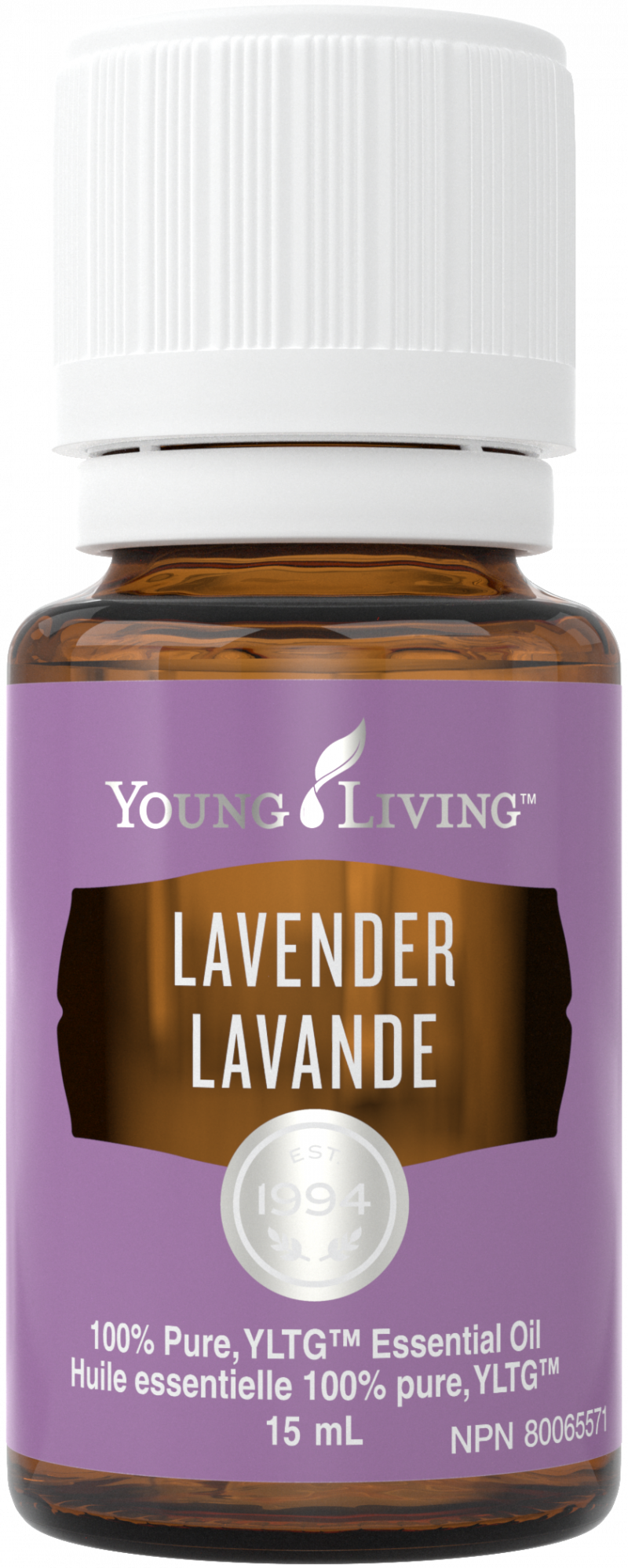 How to Make 25 DIY Cleaners with One Bottle of Thieves Household Cleaner Young Living Canada Blog