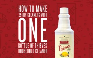 DIY Thieves Cleaners