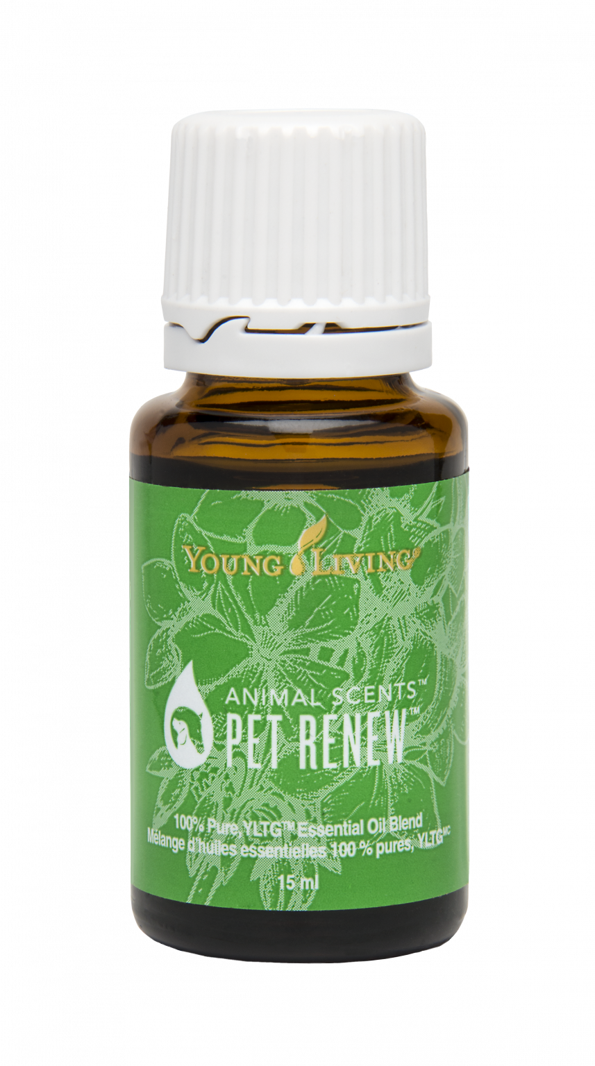 PetFriendly Essential Oils Uses Young Living Canada Blog