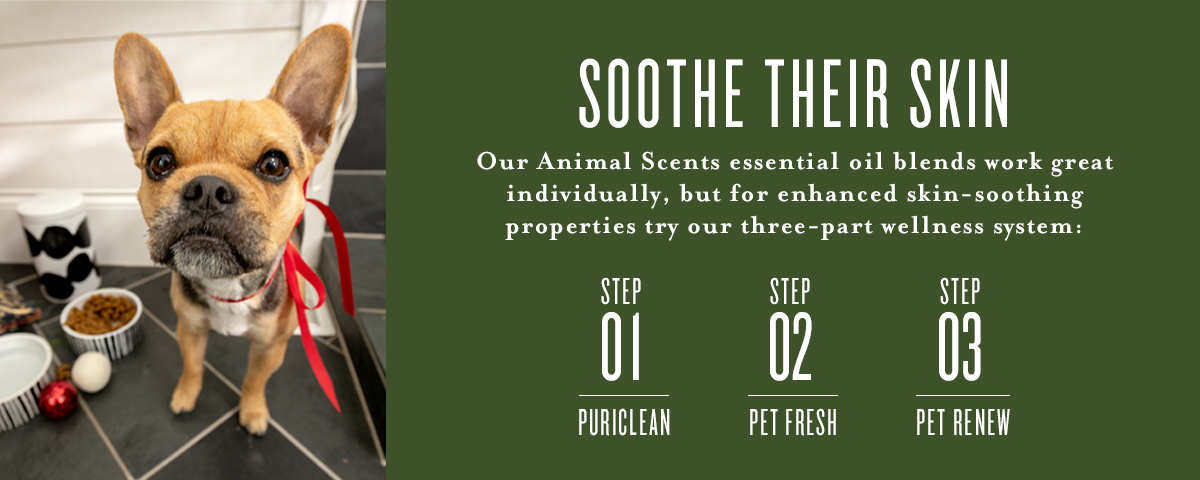 animal scents - soothe their skin