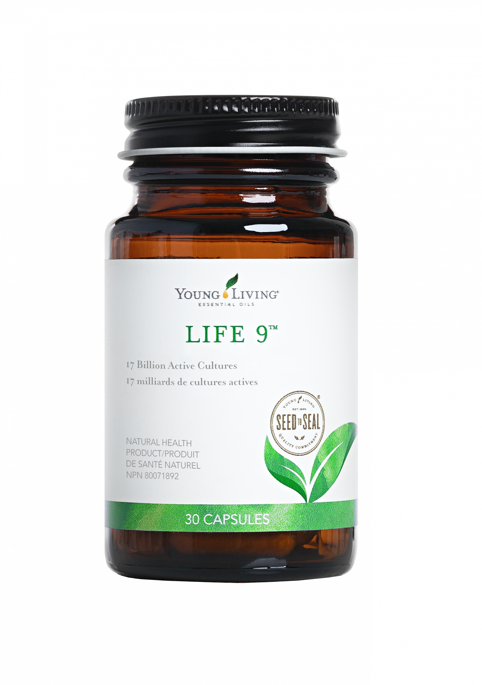 Life 9 Supplement