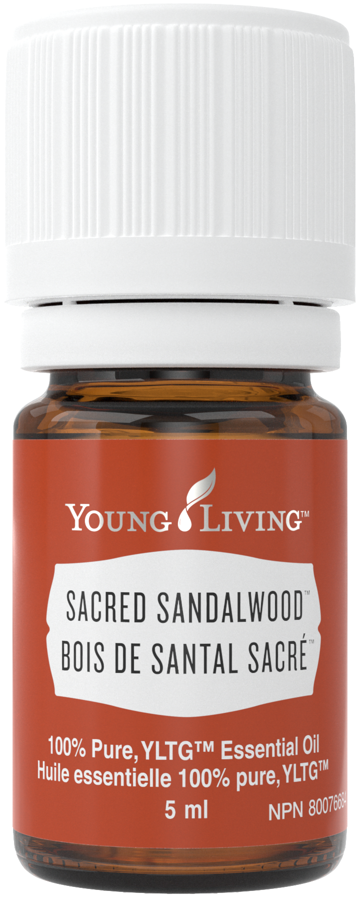 sacred sandalwood essential oil