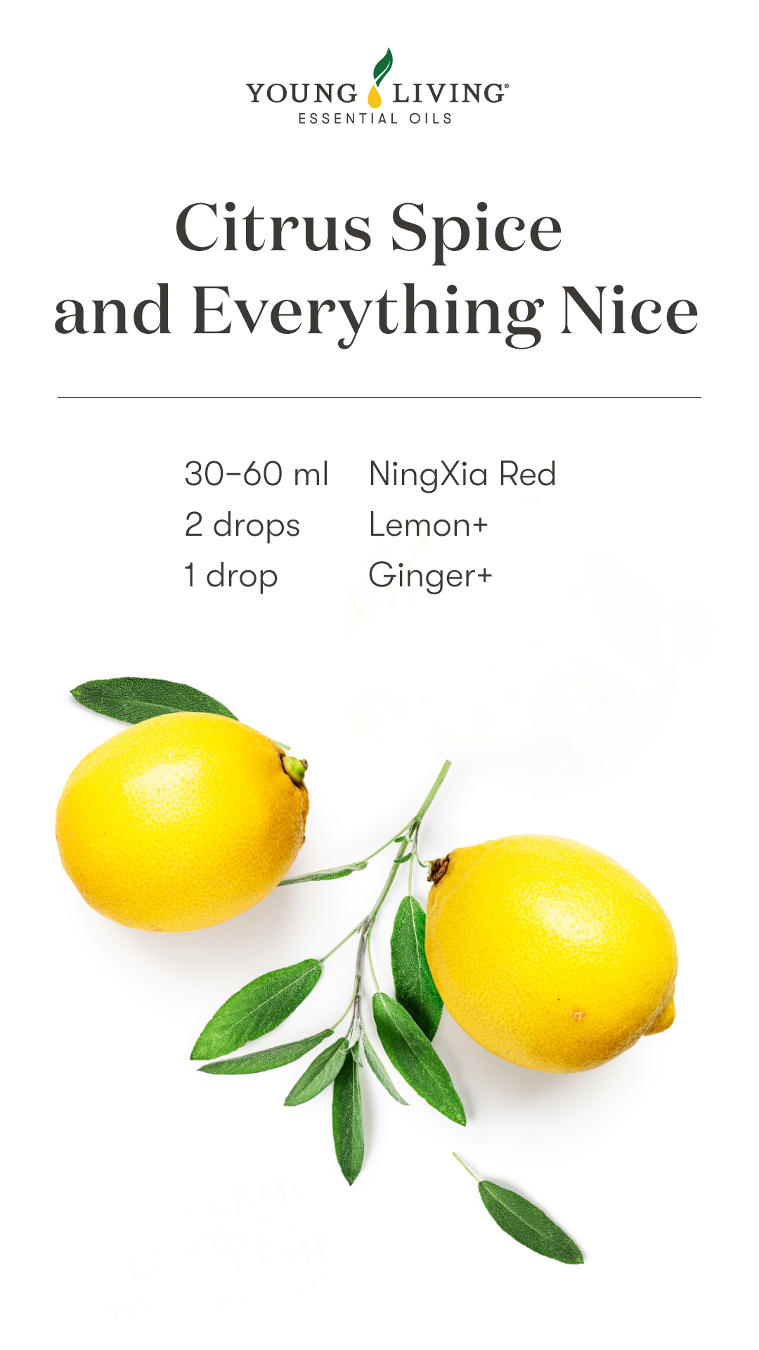 Ningxia Red Shot Recipe - Citrus and Spice