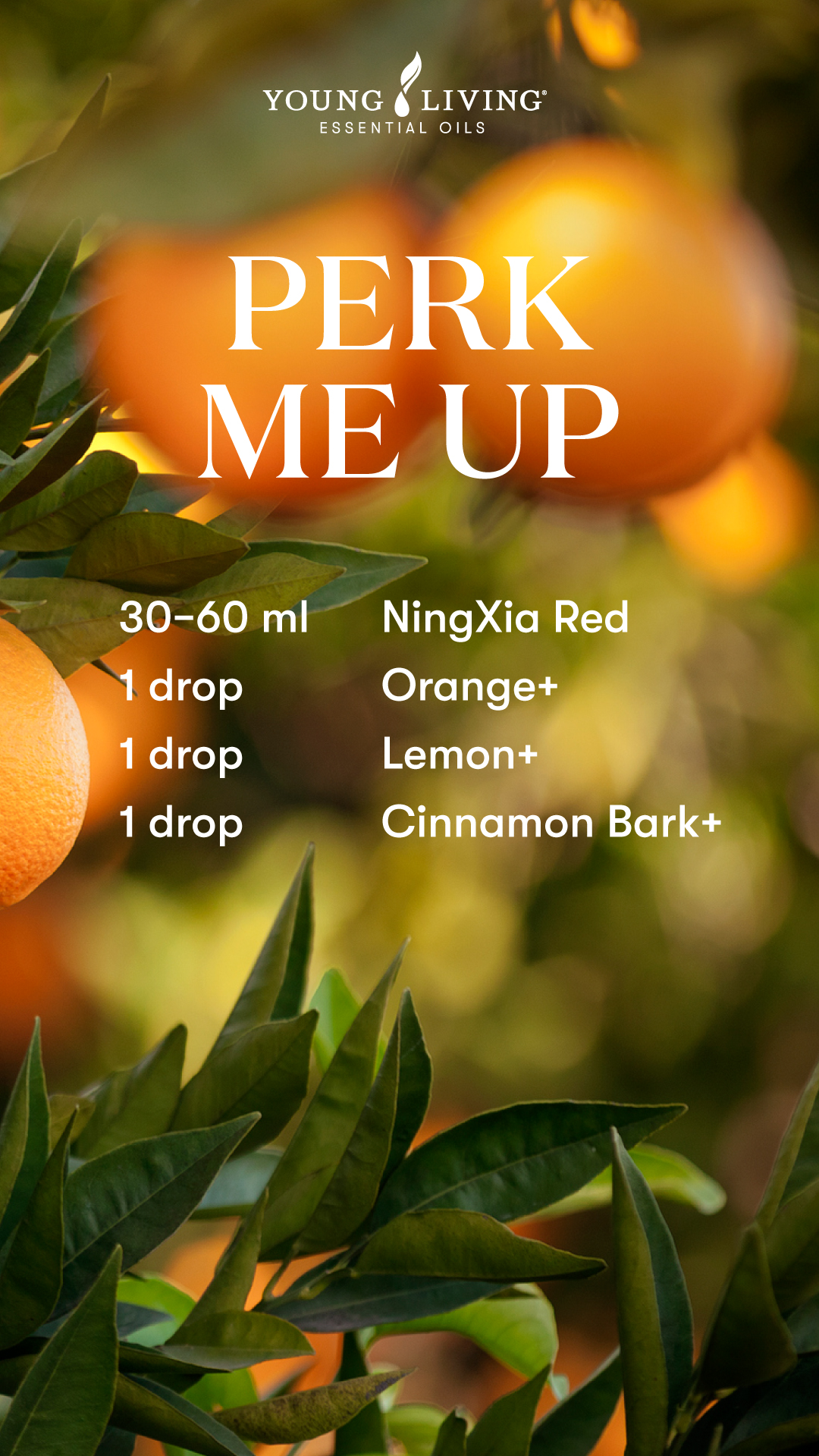 Ningxia Red Shot Recipe - Perk Me Up