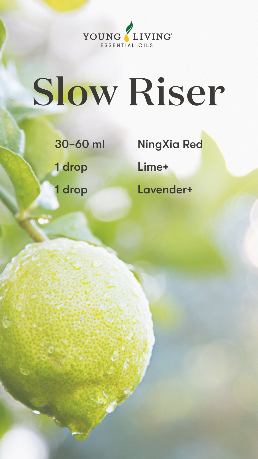 Ningxia Red Shot Recipe - slow riser
