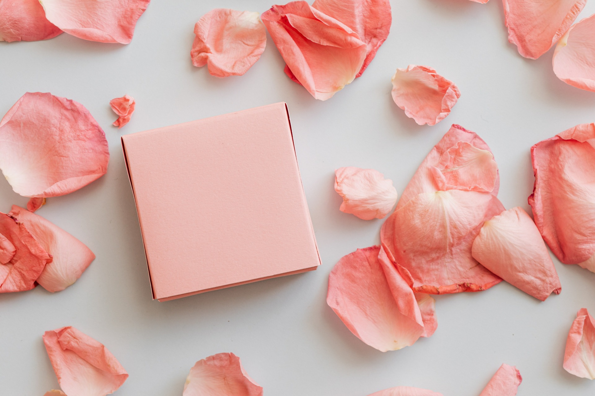 Pink box with flower petals